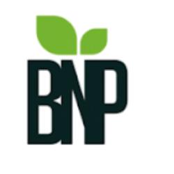 bnp